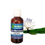 Night Queen Fragrance Oil 50ml