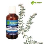 Thyme Linalool Essential Oil