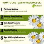 How to use daisy fragrance oil