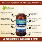Aniseed Absolute 8 Uses