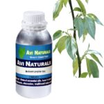 Balsam poplar Oil 500ml