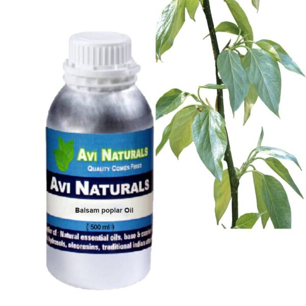 Balsam poplar oil 500ml