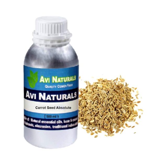 Carrot seed absolute 500ml