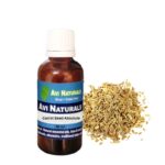 Carrot Seed Absolute 50ml