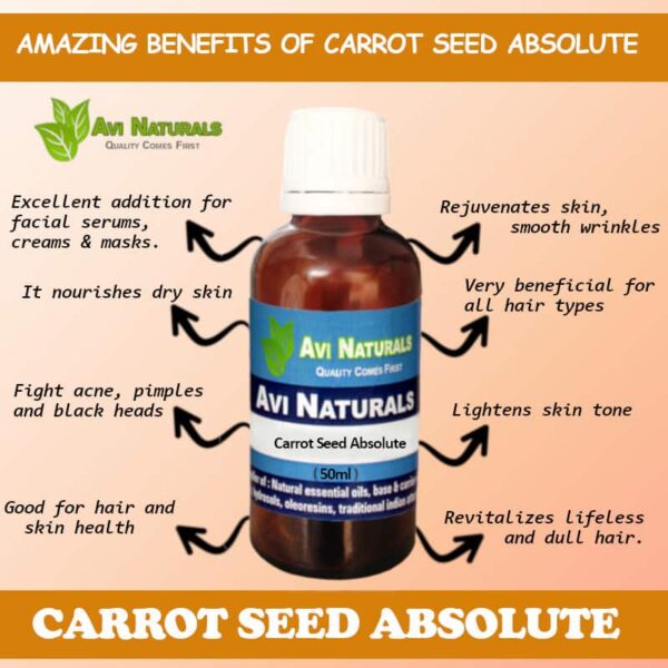 Carrot seed absolute 8 uses