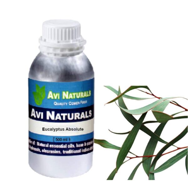 Eucalyptus absolute 500ml
