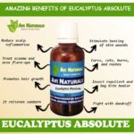 Eucalyptus Absolute 8 uses