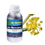 Ferula Oil 500ml