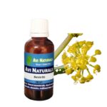 Ferula Oil 50ml
