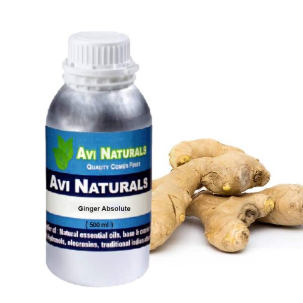 Ginger absolute 500ml