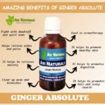 Ginger Absolute 8 uses