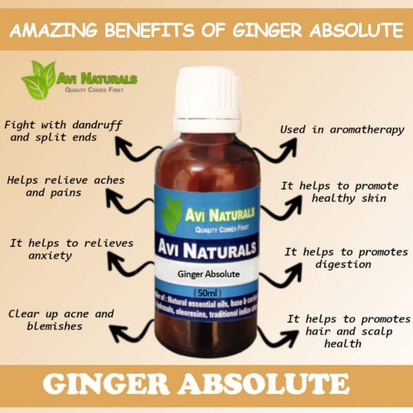 Ginger absolute 8 uses