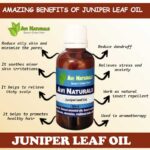 Juniper Leaf Oil 50ml