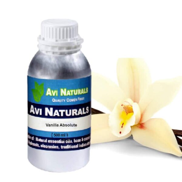 Vanilla absolute 500ml
