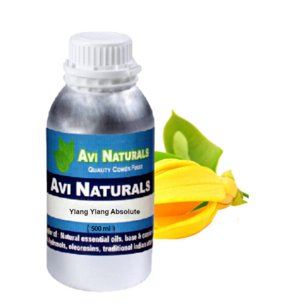 Ylang ylang absolute 500ml