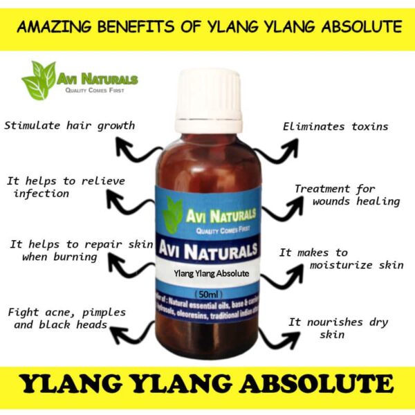 Ylang ylang absolute 8 uses