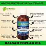 Balsam poplar oil 50ml
