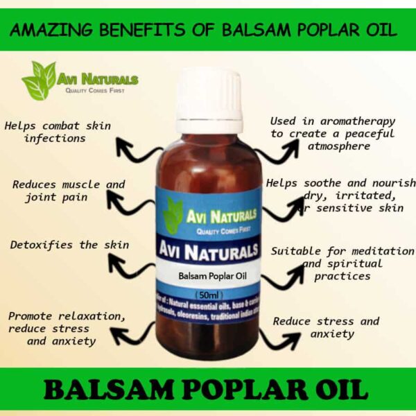 Balsam poplar oil 50ml