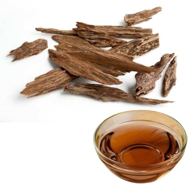 buy-oud-gold-fragrance-oil Buy oud gold fragrance oil