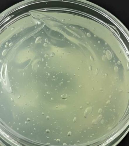 Hempaloeveragel 