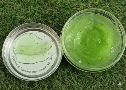Moringaaloeveragel