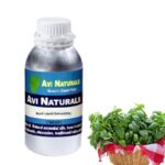 Basil liquid extract manufacturers