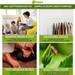 Bay leaf fragrance oil suppliers