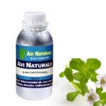 Brahmi liquid extract manufacturers