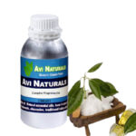 Camphor fragrance oil suppliers