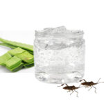 Mosquito repellent aloe vera gel