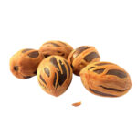 Nutmeg liquid extract(WS)