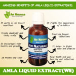 Uses benefits amla liquid extract