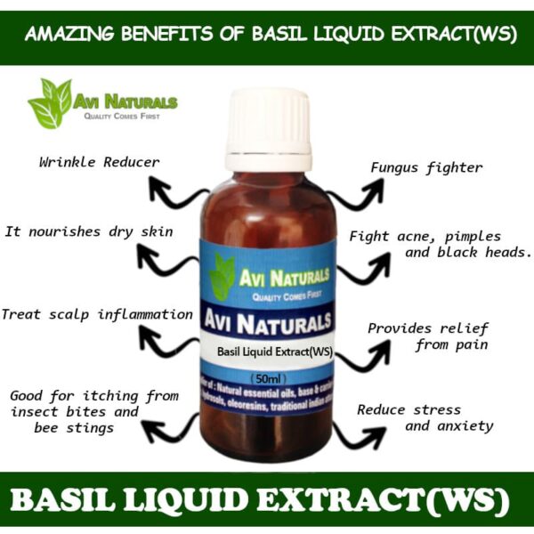 Uses benefits basil liquid extract