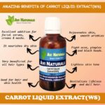 Uses benefits carrot liquid extract