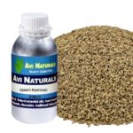 Ajwain hydrosol 500ml