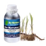 Calamus root hydrosol 500ml