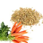 Carrot seed hydrosol