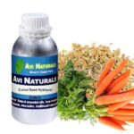 Carrot seed hydrosol 500ml