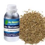 Dill seed hydrosol 500ml