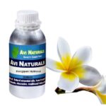Frangipani hydrosol 500ml