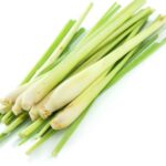 Ginger grass hydrosol