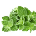 Oregano hydrosol