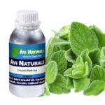 Oregano hydrosol 500ml