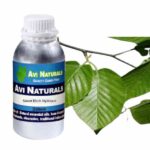 Sweet birch hydrosol 500ml