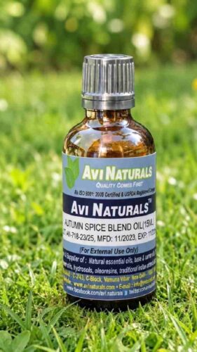 Autumn Spice Essential Oil Blend 15ml