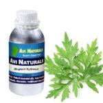 Mugwort hydrosol 500ml