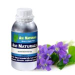 Violet essential oil 500ml