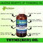 Uses Benefits Red Thyme Oil