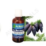 Black spruce oil