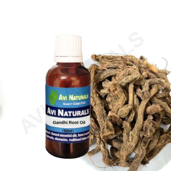 Gandhi root oil